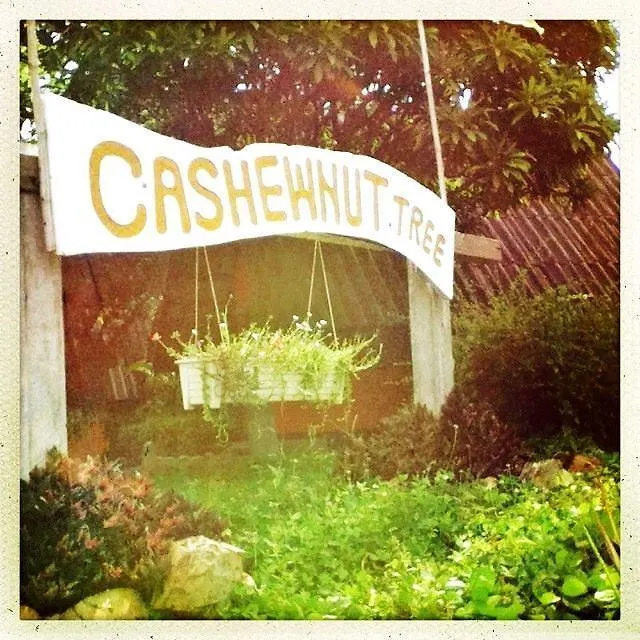 بيت خشبي Cashewnut Tree Bungalows Ko Lanta تايلاند