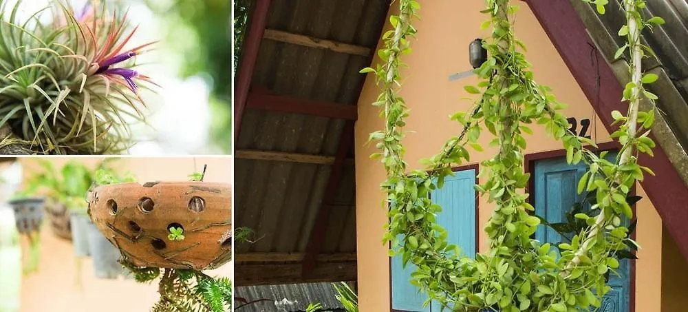 Cashewnut Tree Bungalows Ko Lanta